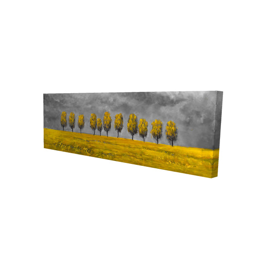 16"x48"