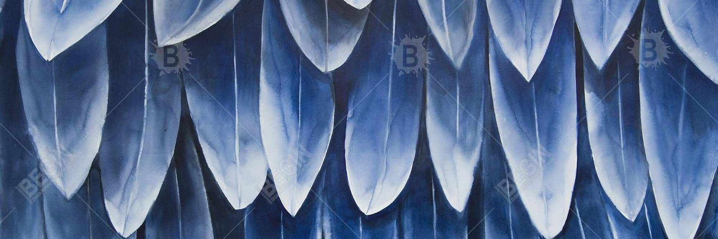 Plumage Blue Animals Feathers Framed Canvas | Home Decor