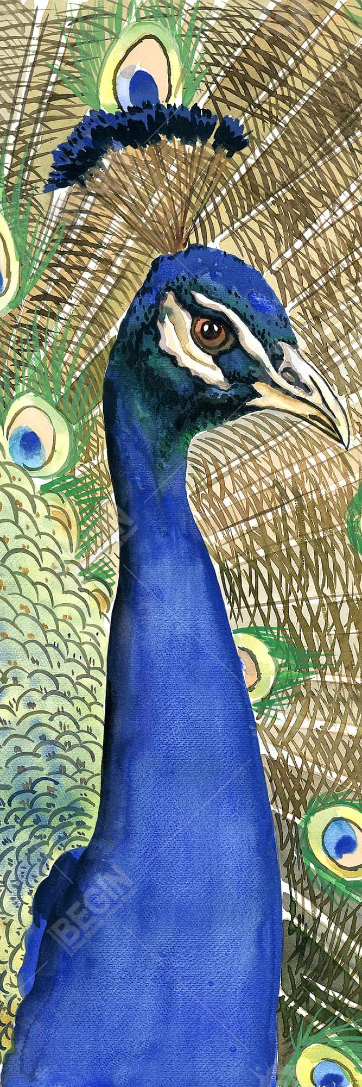 Toile de chambre à coucher Paon | Décoration d'oiseau encadrée