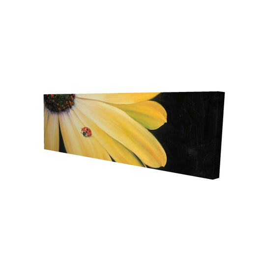 16"x48"