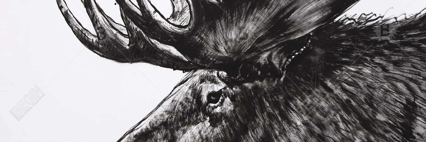 Moose Plume Deer Bedroom Canvas | Framed Wall Art Decor