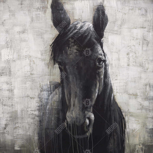 Black Horse - Bedroom Farmhouse Metal Print for Home Decor