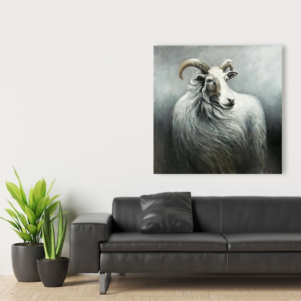 Cashmere Goat Canvas | Farm Animals White Decor for Home