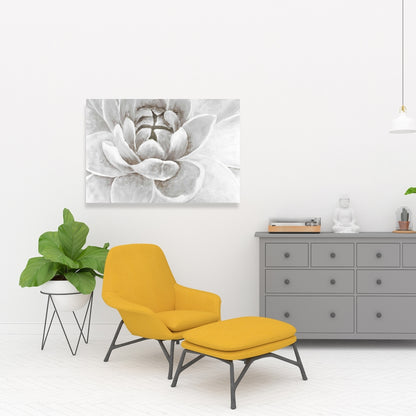 Modern White Canvas - Delicate White Chrysanthemum Decor