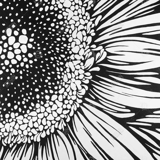 Gerbera Flower - White Monochrome Metal Print for Home Decor