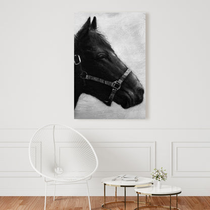 Gallopin the Horse Gray Canvas - Farm Animal Bedroom Decor