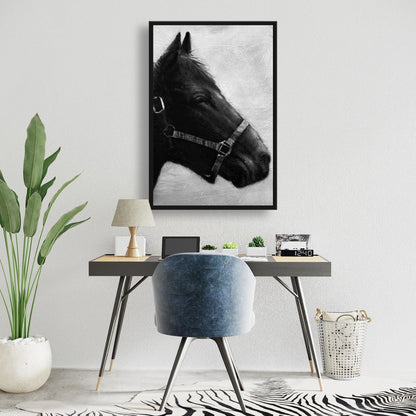 Toile « Galopin le cheval » | Décoration encadrée d'animaux gris