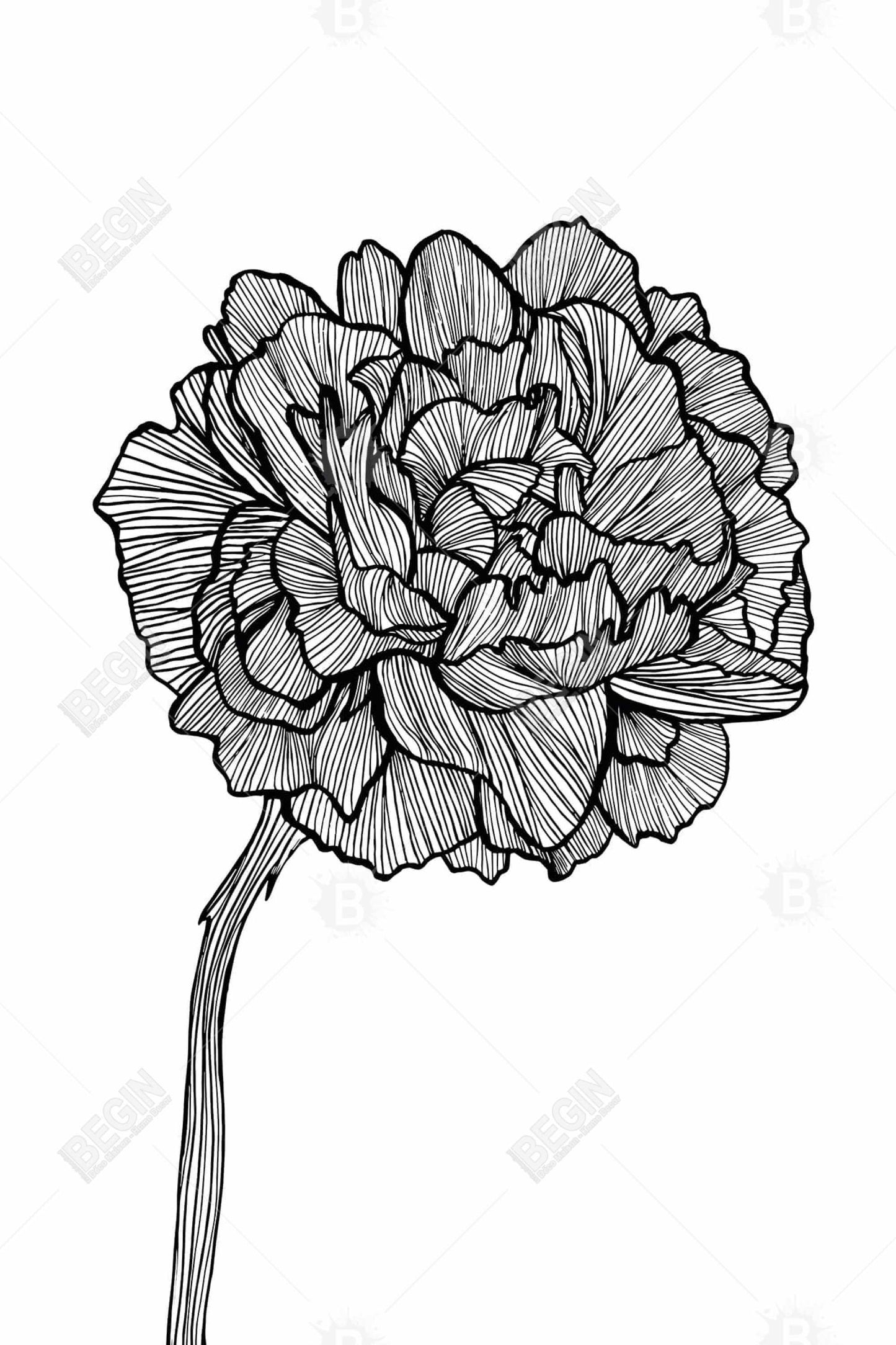 Peony Line Minimalist Floral Magnetic Canvas | Home Decor