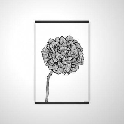 20"x30"