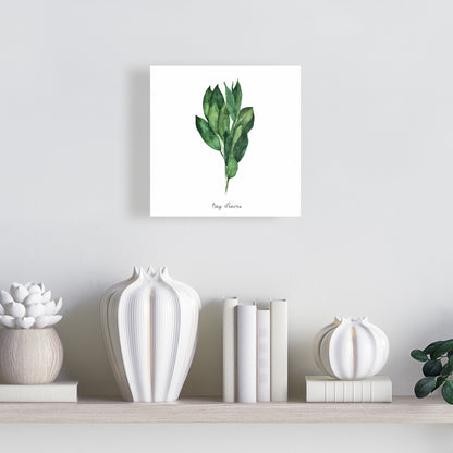 Impression sur toile « Feuilles de laurier » | Décoration d'intérieur