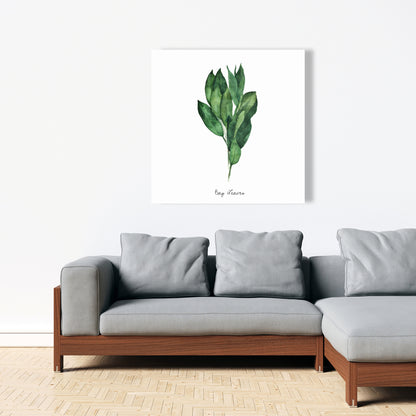 Impression sur toile « Feuilles de laurier » | Décoration d'intérieur