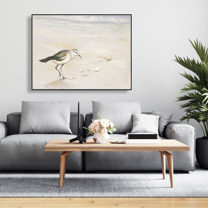 Toile de plage de Bécasseau semipalmé | Décoration murale d'oiseaux
