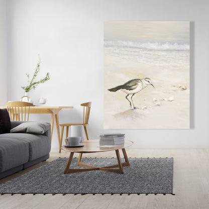 Toile Bécasseau semipalmé – Décoration d'intérieur