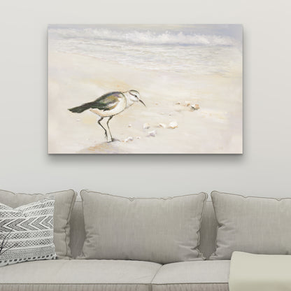 Toile Bécasseau semipalmé – Décoration d'intérieur