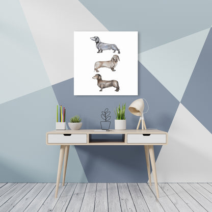 Toile représentant un petit teckel marron - Décoration d'intérieur