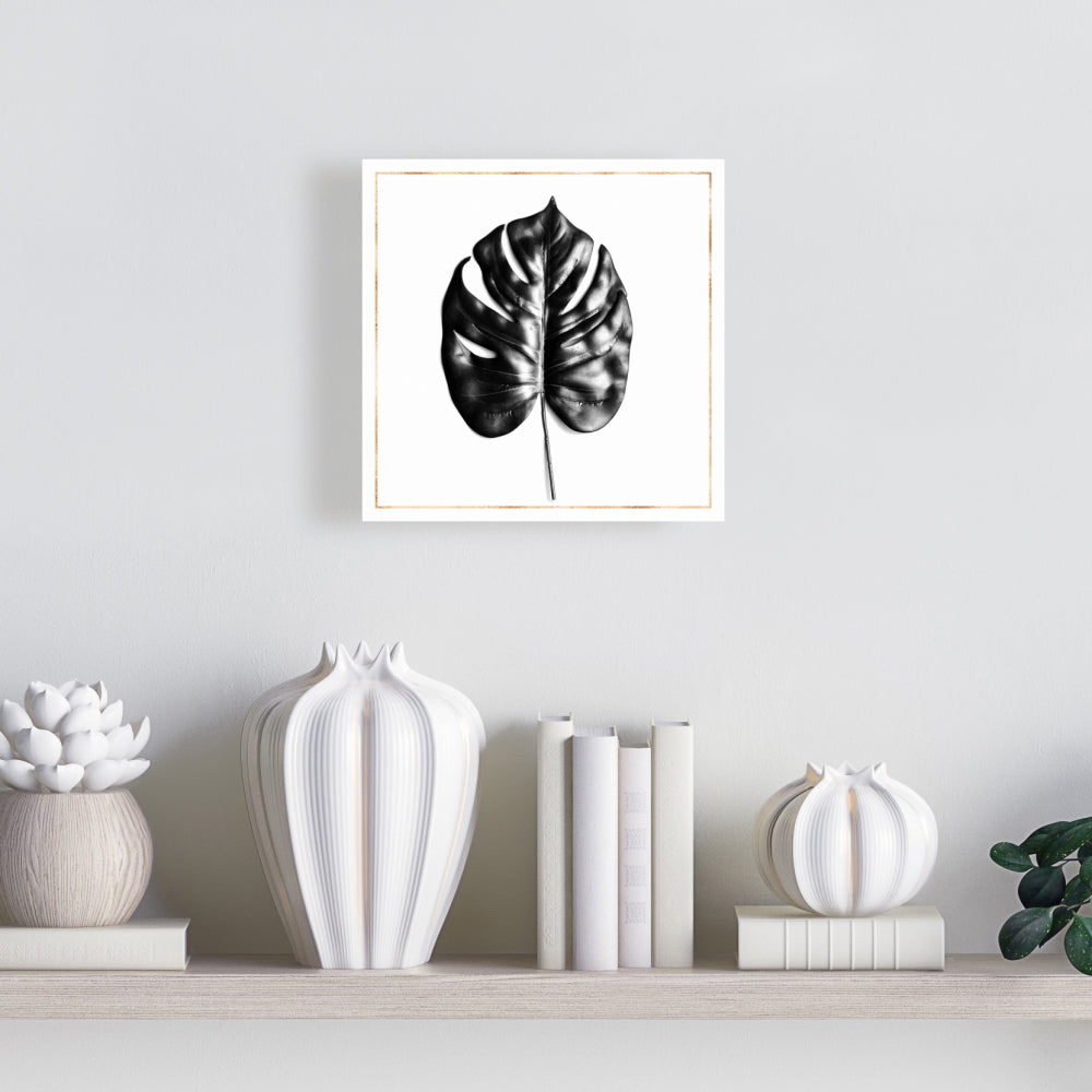 Toile botanique blanche exotique | Philodendron à feuilles fendues