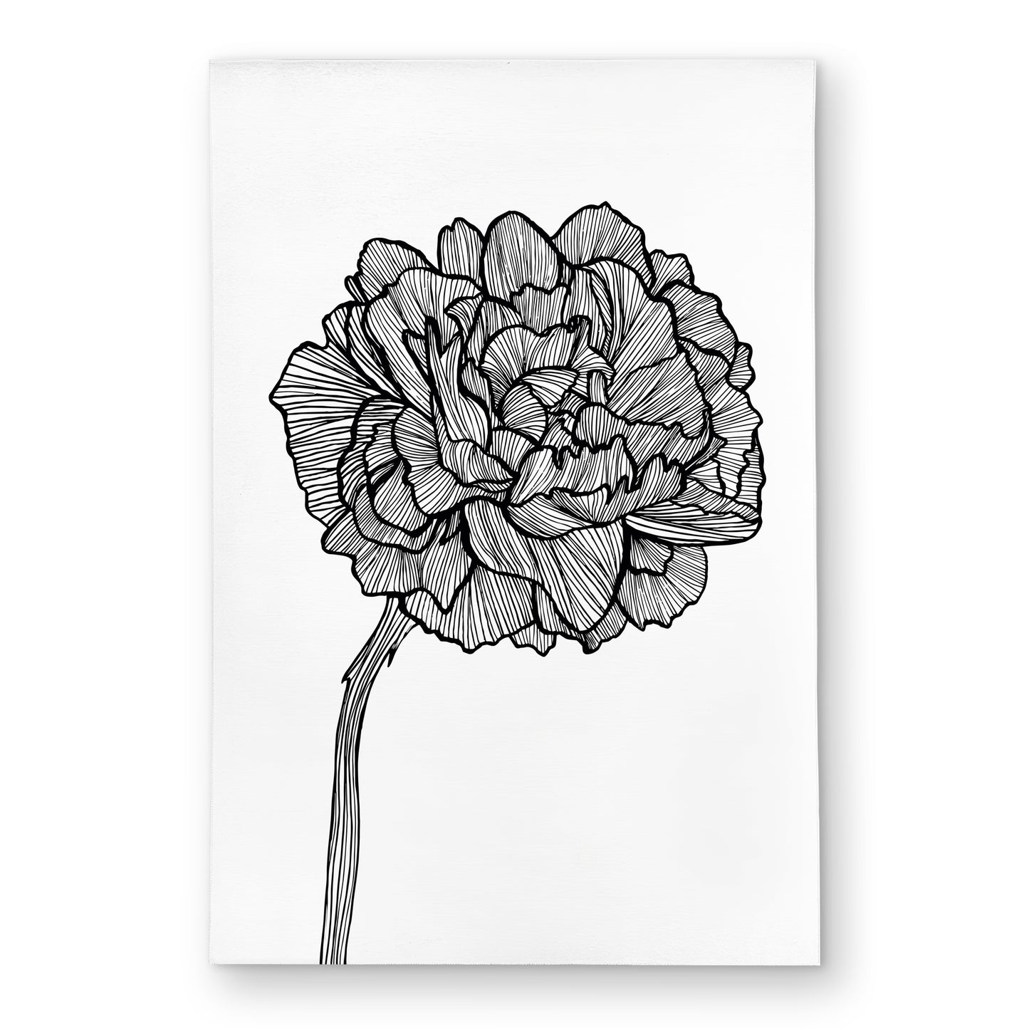 2"x3"
