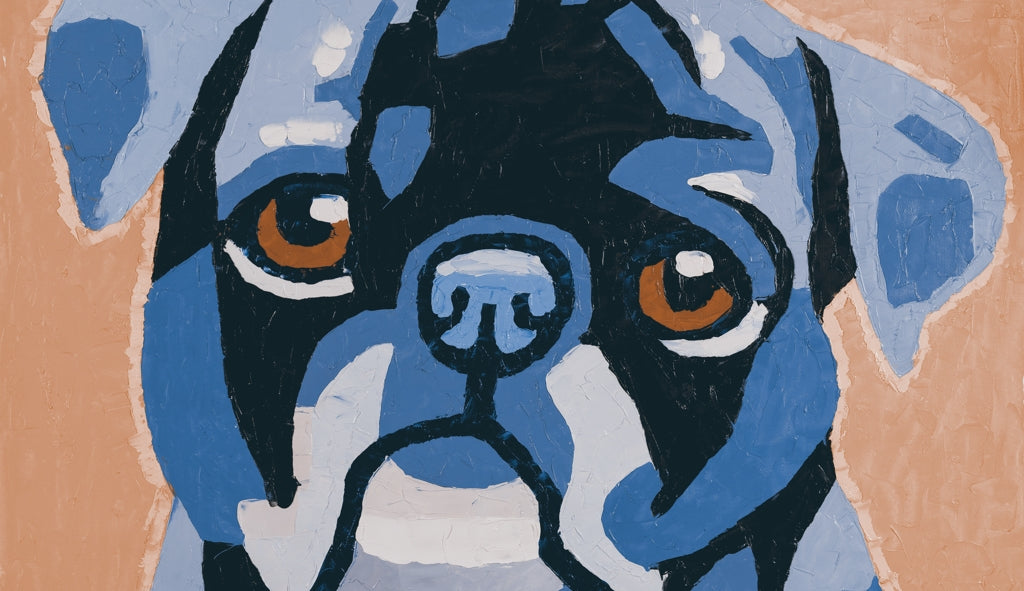 Flash the pug Outdoor Area Rug | Stylish Dog Home Decor
