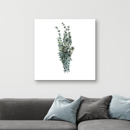 Impression sur toile « Feuilles de thym » | Décoration de cuisine