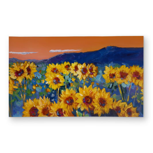 3"x5"