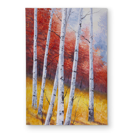 17"x24"