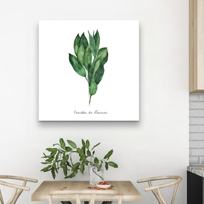 Toile décorative « Feuilles de laurier » – Décoration d'intérieur | Feuilles blanches