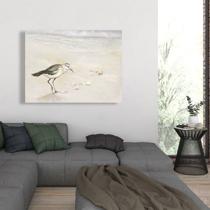 Toile Bécasseau semipalmé – Décoration d'intérieur