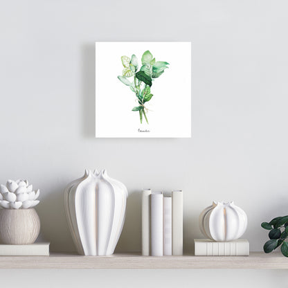 Bouquet de feuilles de basilic attachées - Fr | Décoration d'intérieur sur toile