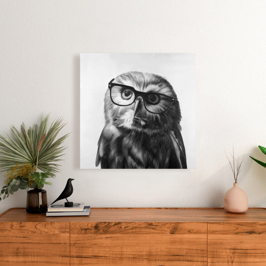 Monochrome White Owl Canvas | Northern Saw-Whet Home Decor