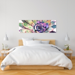 Canvas 16 x 48 - Multicolored succulent 