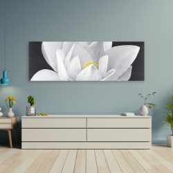 Canvas 20 x 60 - Overhead view of a lotus flower
