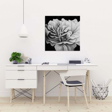 Beautiful black and white flower