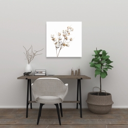 Toile 24 x 24 - Une branche de fleurs de coton