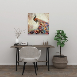 Canvas 24 x 24 - Majestic peacock