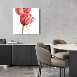 Toile 24 x 24 - Tulipes en fleur