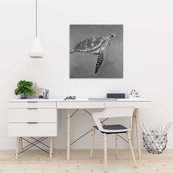 Canvas 24 x 24 - Grayscale aquatic turtle