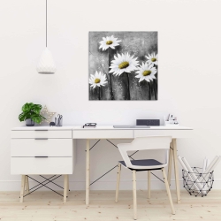 Canvas 24 x 24 - Daisies