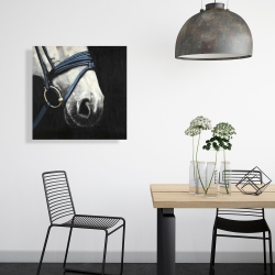 Canvas 24 x 24 - Horse with harness