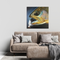 Canvas 24 x 24 - Golden trout with fly fishing flie