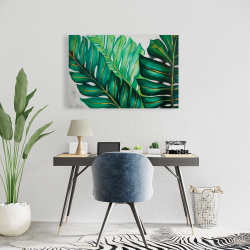 Canvas 24 x 36 - Three big exotic plant leaves