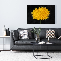 Canvas 24 x 36 - Yellow chrysanthemum
