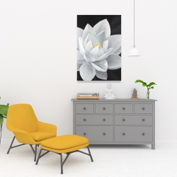 Canvas 24 x 36 - Overhead view of a lotus flower