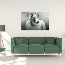 Canvas 24 x 36 - Cashmere goat