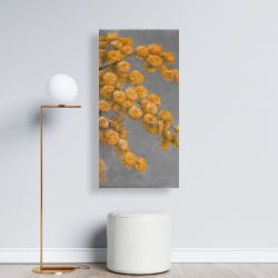 Canvas 24 x 48 - Golden wattle plant