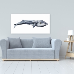 Canvas 24 x 48 - Watercolor whale