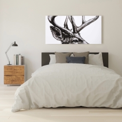 Canvas 24 x 48 - Roe deer plume