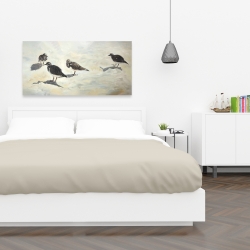 Canvas 24 x 48 - Sandpiper birds