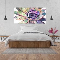 Canvas 24 x 48 - Multicolored succulent 