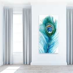 Canvas 24 x 48 - Long peacock feather