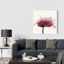 Canvas 36 x 36 - Anemone flower